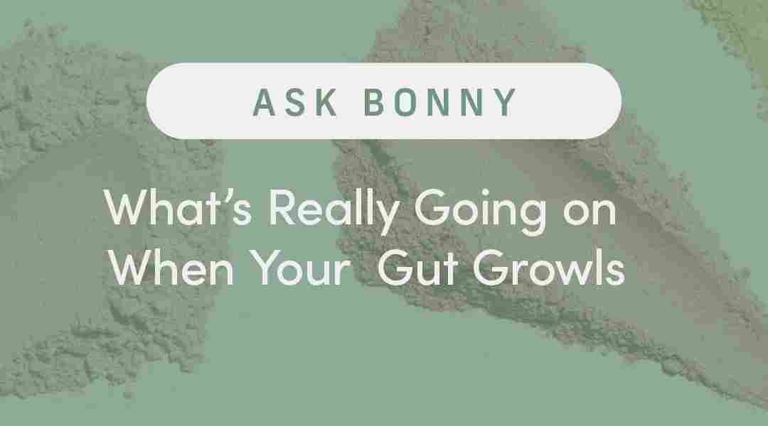 What’s Really Going on When your Gut Growls