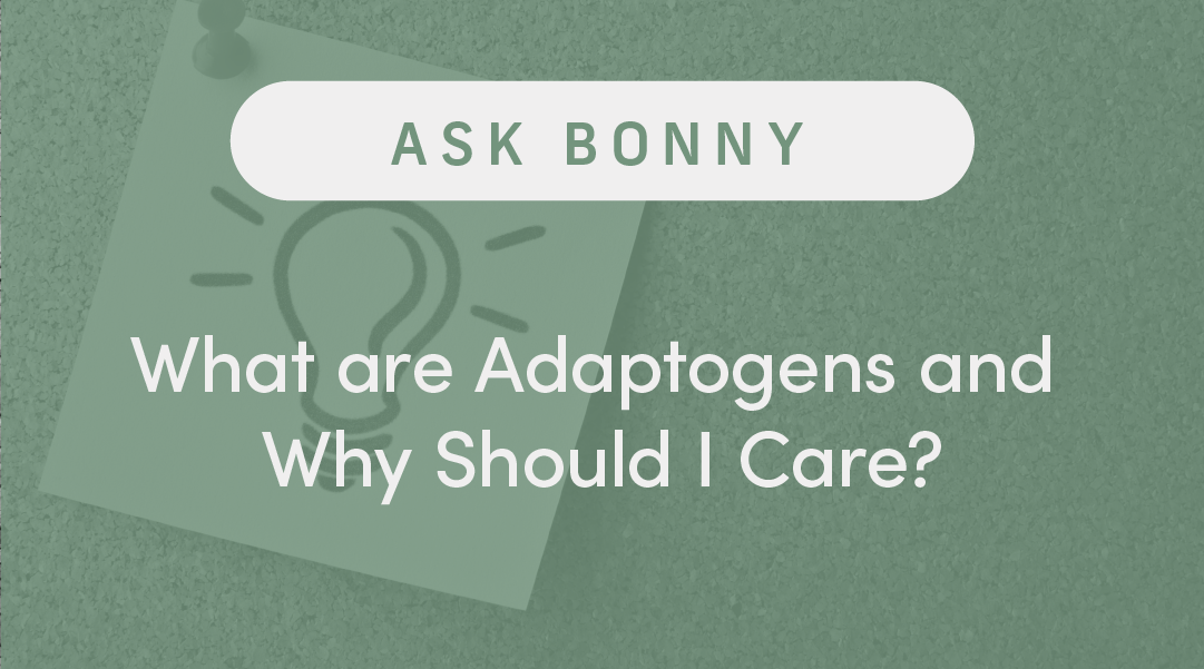 What are Adaptogens and Why Should I Care?