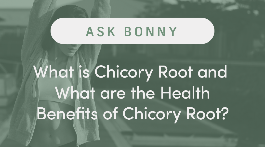What is Chicory Root and What are the Health Benefits of Chicory Root?