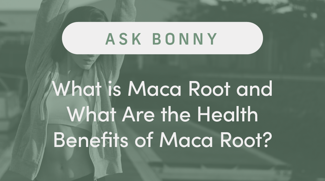 What Is Maca Root and What Are the Health Benefits of Maca Root?