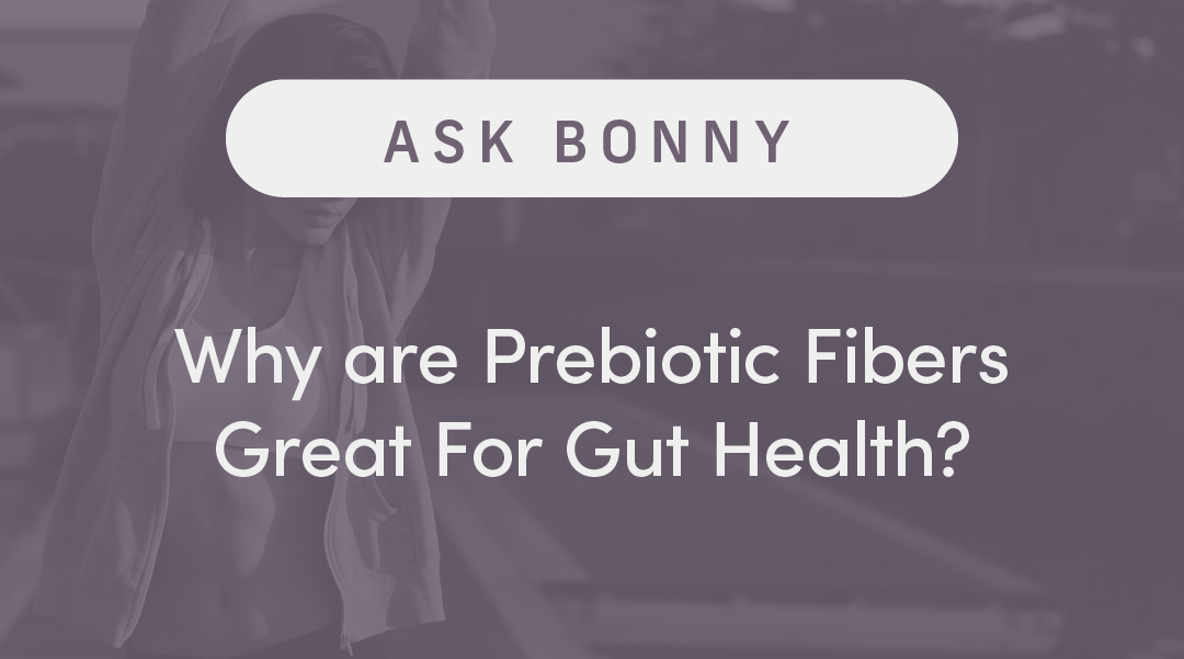 Why are Prebiotic Fibers Great for Gut Health?