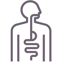 Gut-mind connection